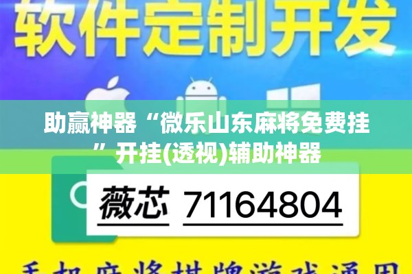 助赢神器“微乐山东麻将免费挂”开挂(透视)辅助神器