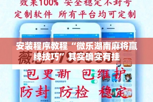 安装程序教程“微乐湖南麻将赢牌技巧”其实确实有挂