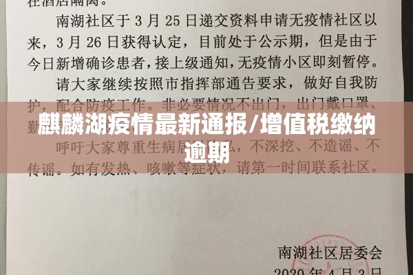 麒麟湖疫情最新通报/增值税缴纳逾期