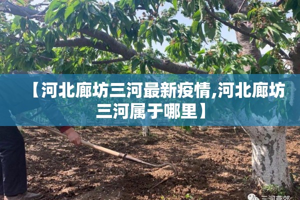 【河北廊坊三河最新疫情,河北廊坊三河属于哪里】