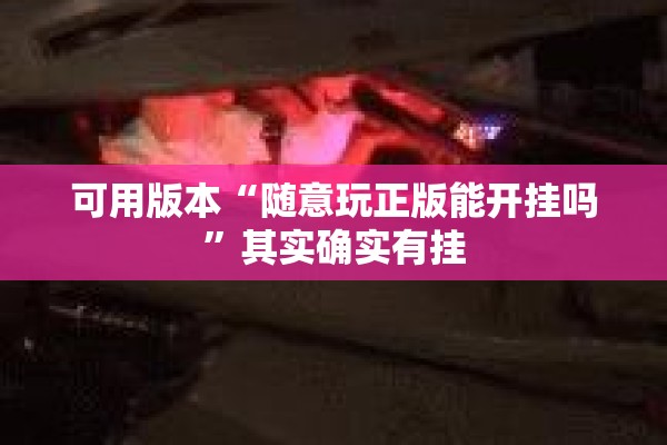 可用版本“随意玩正版能开挂吗	”其实确实有挂