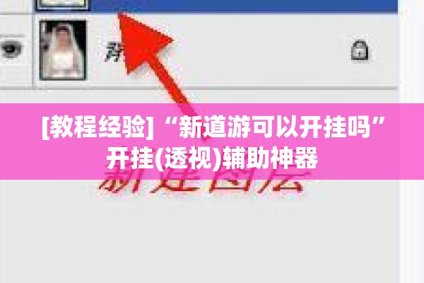 [教程经验]“新道游可以开挂吗”开挂(透视)辅助神器