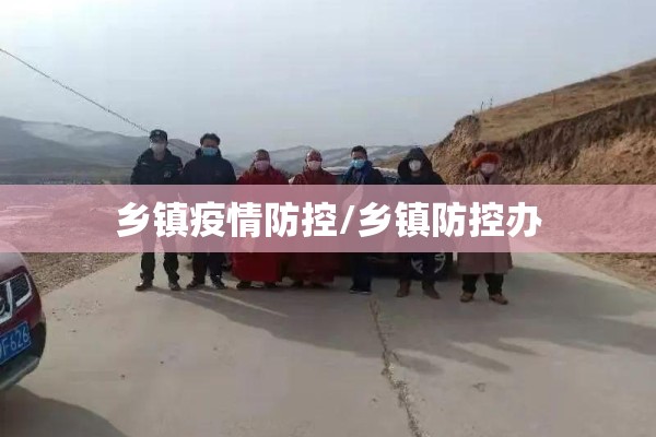 乡镇疫情防控/乡镇防控办