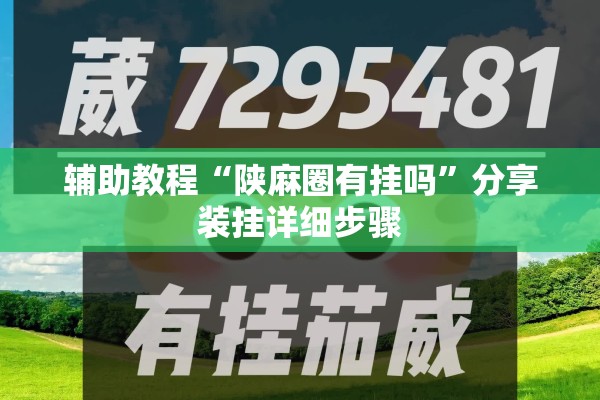 辅助教程“陕麻圈有挂吗”分享装挂详细步骤
