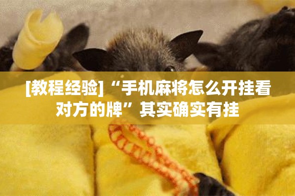 [教程经验]“手机麻将怎么开挂看对方的牌	”其实确实有挂