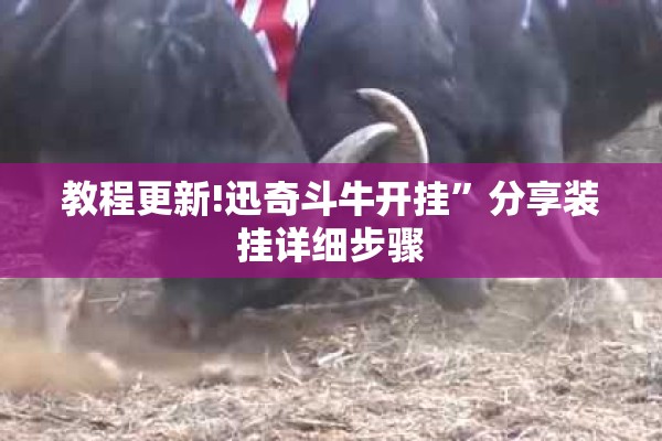 教程更新!迅奇斗牛开挂”分享装挂详细步骤