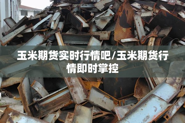 玉米期货实时行情吧/玉米期货行情即时掌控