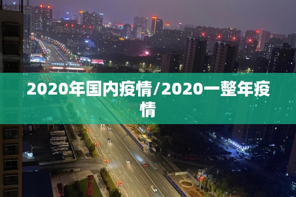 2020年国内疫情/2020一整年疫情