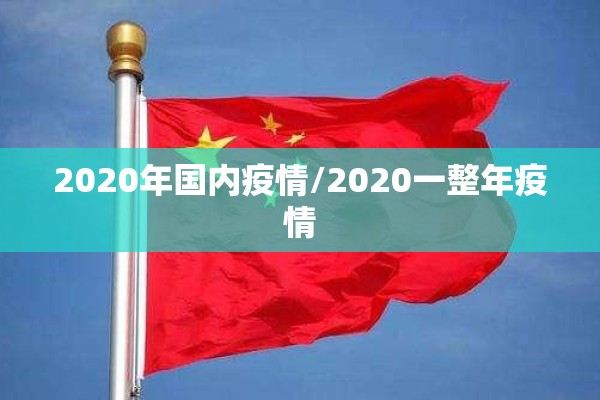 2020年国内疫情/2020一整年疫情