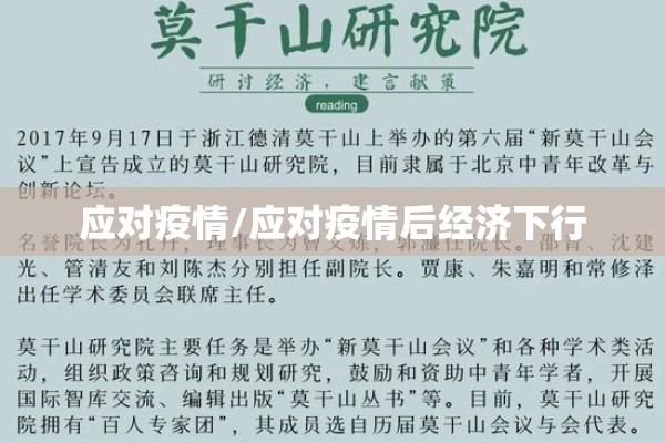 应对疫情/应对疫情后经济下行