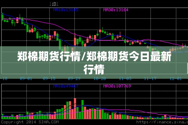 郑棉期货行情/郑棉期货今日最新行情