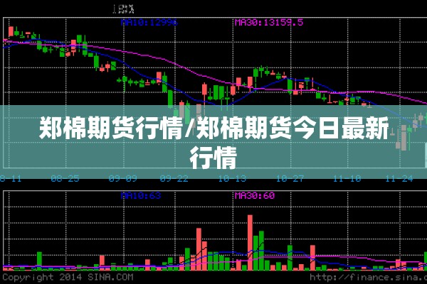 郑棉期货行情/郑棉期货今日最新行情