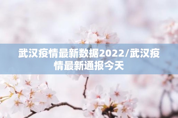 武汉疫情最新数据2022/武汉疫情最新通报今天