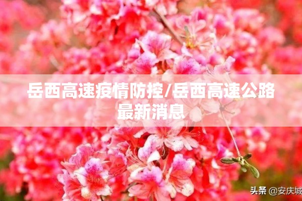 岳西高速疫情防控/岳西高速公路最新消息