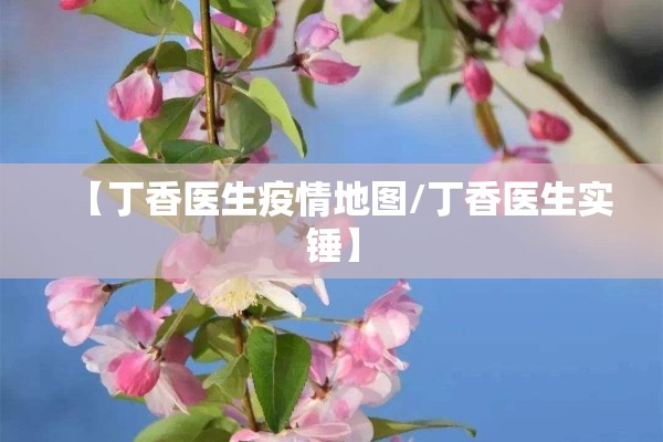 【丁香医生疫情地图/丁香医生实锤】 【丁香医生疫情地图/丁香医生实锤】