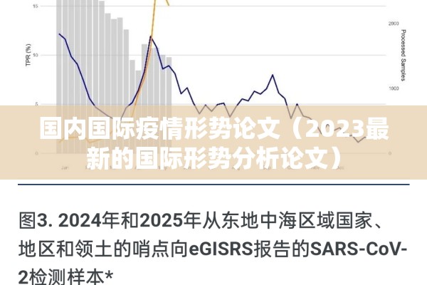 国内国际疫情形势论文(2023最新的国际形势分析论文) 国内国际疫情形势论文(2023最新的国际形势分析论文)