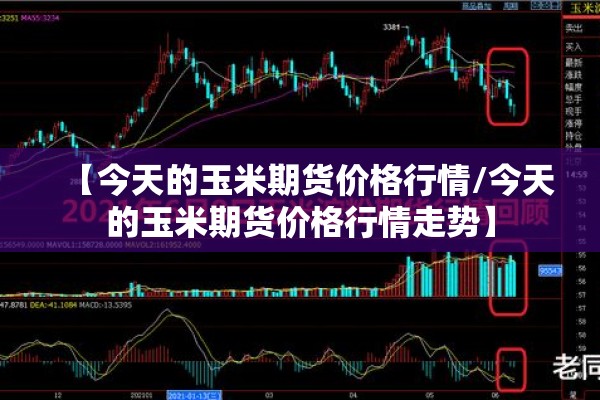 【今天的玉米期货价格行情/今天的玉米期货价格行情走势】