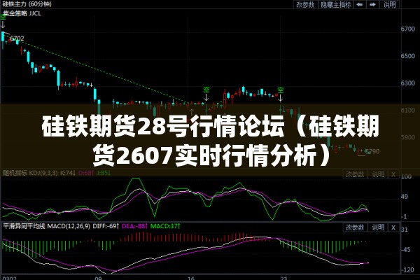硅铁期货28号行情论坛(硅铁期货2607实时行情分析) 硅铁期货28号行情论坛(硅铁期货2607实时行情分析)