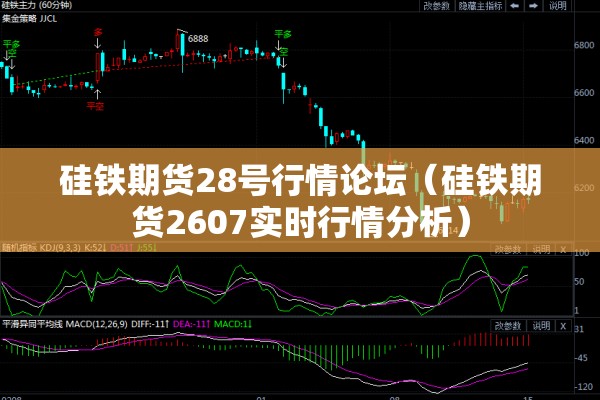 硅铁期货28号行情论坛(硅铁期货2607实时行情分析) 硅铁期货28号行情论坛(硅铁期货2607实时行情分析)