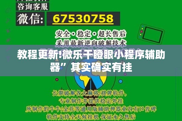 教程更新!微乐干瞪眼小程序辅助器	”其实确实有挂