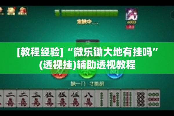 [教程经验]“微乐锄大地有挂吗”(透视挂)辅助透视教程