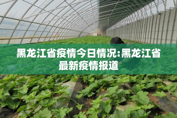 黑龙江省疫情今日情况:黑龙江省最新疫情报道