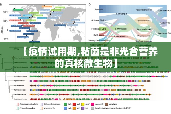 【疫情试用期,粘菌是非光合营养的真核微生物】