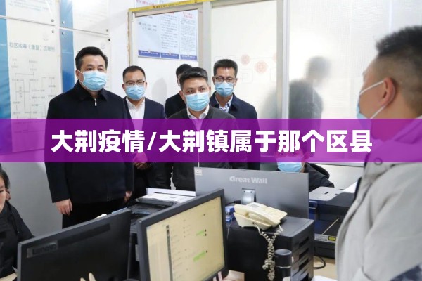 大荆疫情/大荆镇属于那个区县