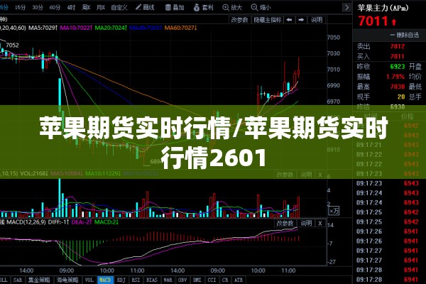 苹果期货实时行情/苹果期货实时行情2601