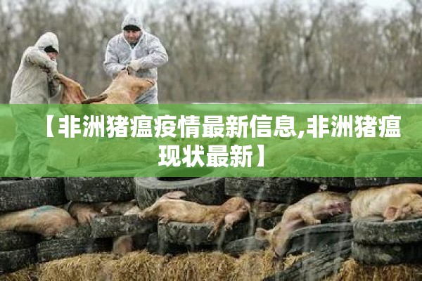 【非洲猪瘟疫情最新信息,非洲猪瘟现状最新】