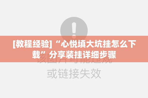 [教程经验]“心悦填大坑挂怎么下载”分享装挂详细步骤