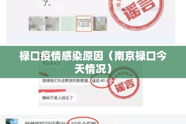 禄口疫情感染原因(南京禄口今天情况) 禄口疫情感染原因(南京禄口今天情况)