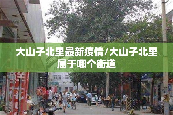 大山子北里最新疫情/大山子北里属于哪个街道