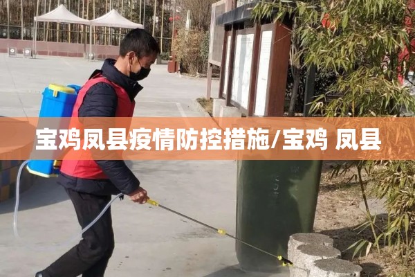 宝鸡凤县疫情防控措施/宝鸡 凤县