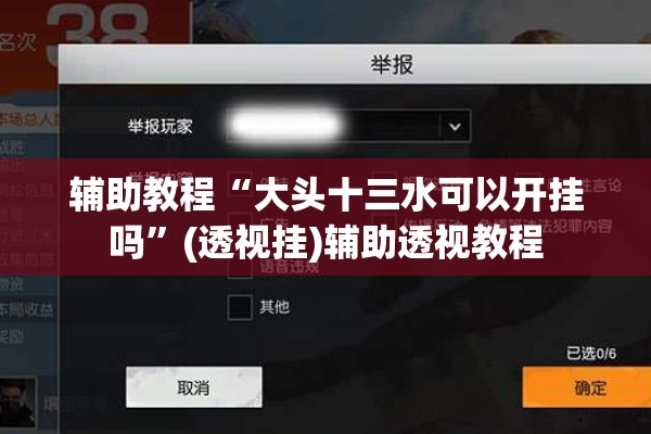 辅助教程“大头十三水可以开挂吗”(透视挂)辅助透视教程