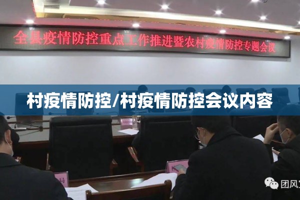 村疫情防控/村疫情防控会议内容