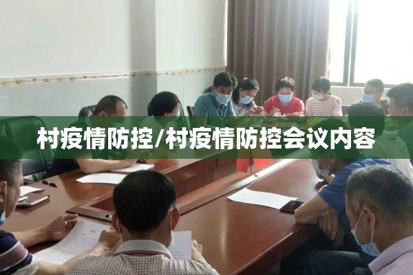村疫情防控/村疫情防控会议内容
