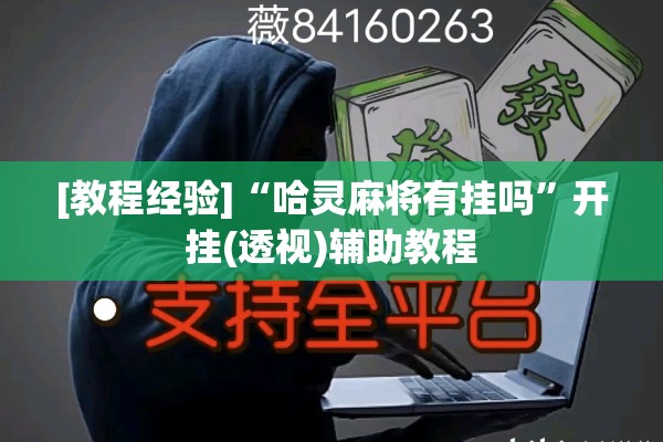 [教程经验]“哈灵麻将有挂吗”开挂(透视)辅助教程