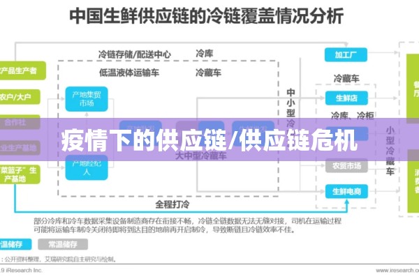 疫情下的供应链/供应链危机