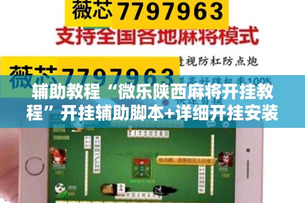 辅助教程“微乐陕西麻将开挂教程”开挂辅助脚本+详细开挂安装教程