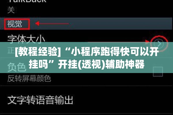 [教程经验]“小程序跑得快可以开挂吗”开挂(透视)辅助神器
