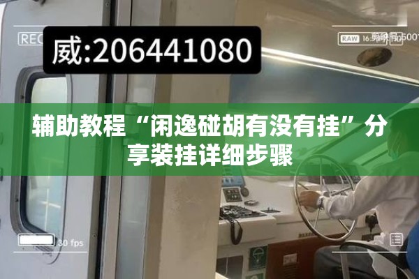 辅助教程“闲逸碰胡有没有挂”分享装挂详细步骤