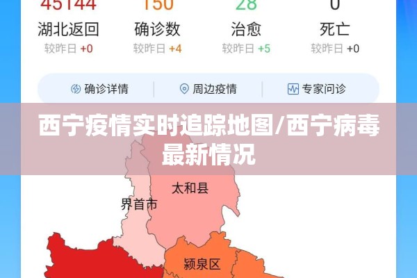 西宁疫情实时追踪地图/西宁病毒最新情况