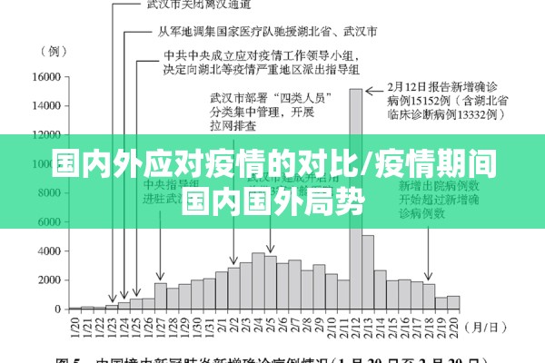 国内外应对疫情的对比/疫情期间国内国外局势 国内外应对疫情的对比/疫情期间国内国外局势