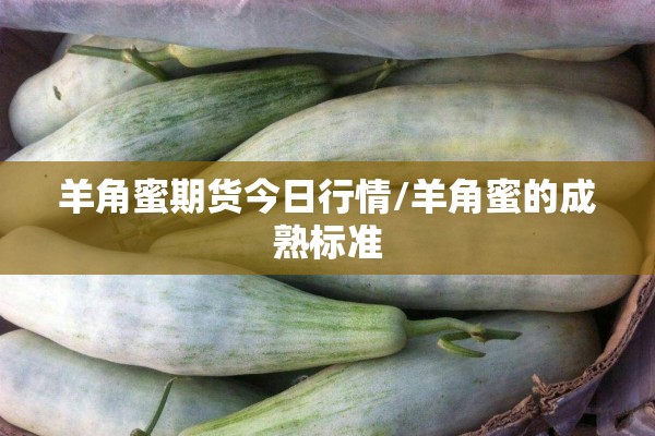 羊角蜜期货今日行情/羊角蜜的成熟标准