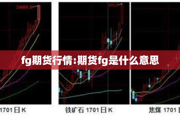fg期货行情:期货fg是什么意思