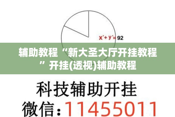 辅助教程“新大圣大厅开挂教程”开挂(透视)辅助教程