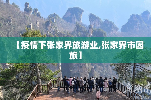 【疫情下张家界旅游业,张家界市因旅】