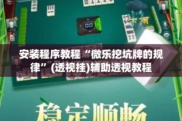 安装程序教程“微乐挖坑牌的规律”(透视挂)辅助透视教程