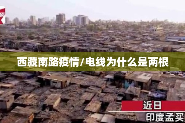 西藏南路疫情/电线为什么是两根 西藏南路疫情/电线为什么是两根